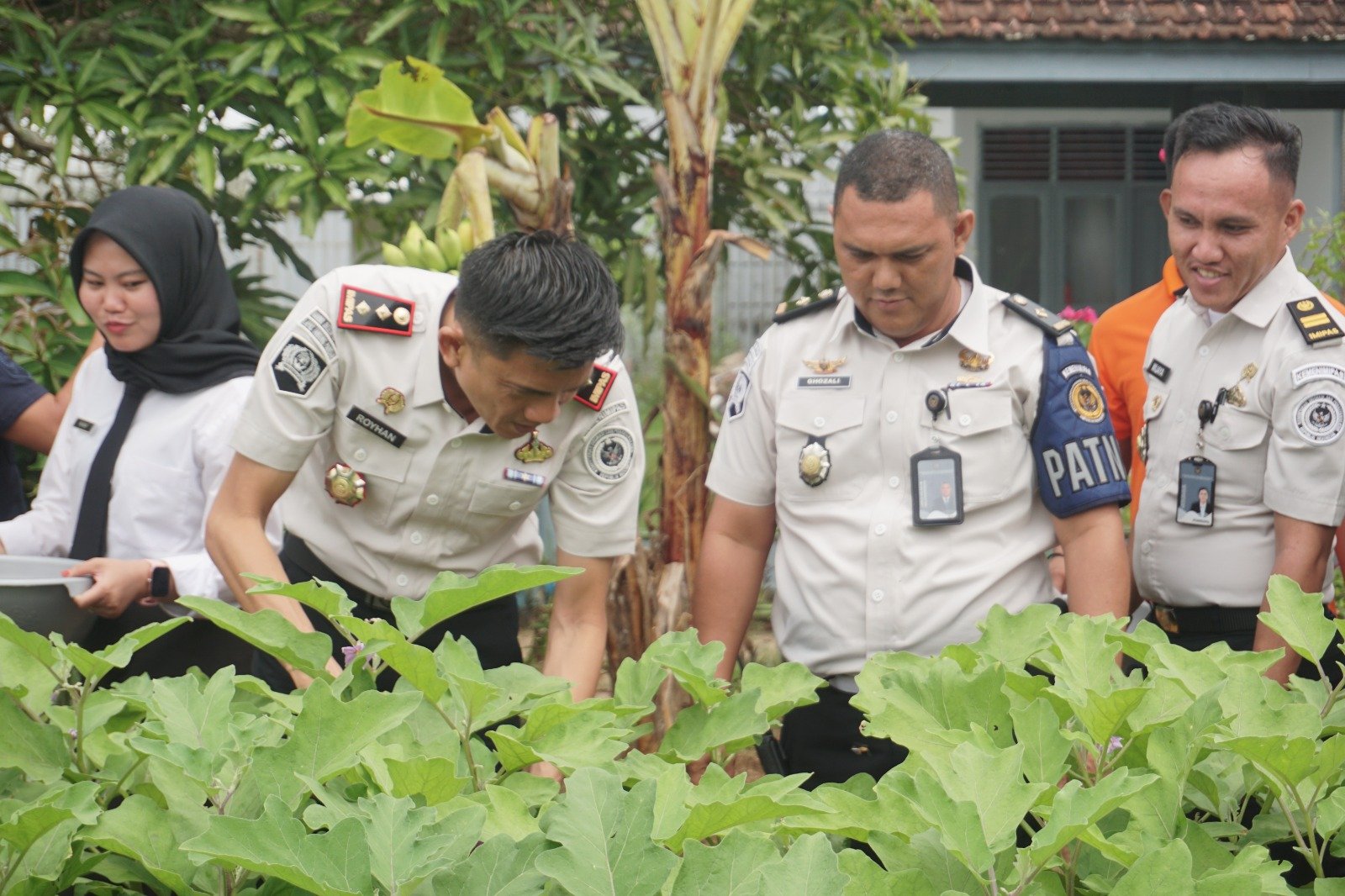 Pertegas Komitmen Pembinaan Kemandirian, Lapas Tanjungpandan Panen 52 Kg Terong